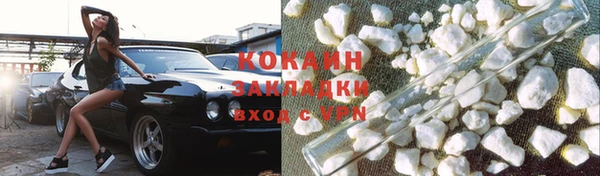 прущие грибы Наволоки