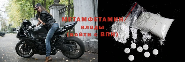 прущие грибы Наволоки
