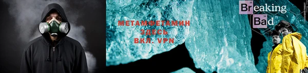 прущие грибы Наволоки