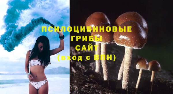 прущие грибы Наволоки