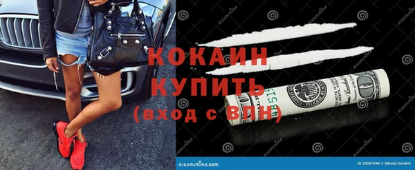 прущие грибы Наволоки