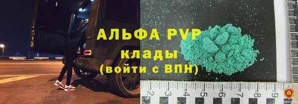 прущие грибы Наволоки