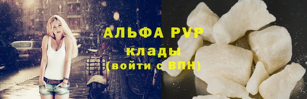 прущие грибы Наволоки