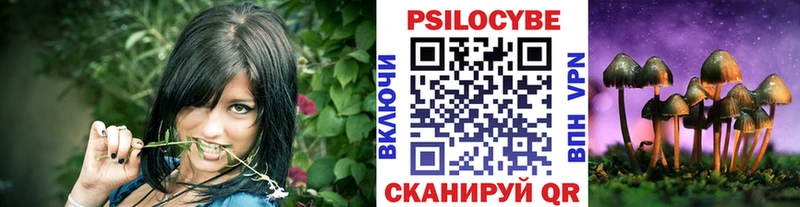 Купить где  Мариинский Посад  Галлюциногенные грибы Magic Shrooms 